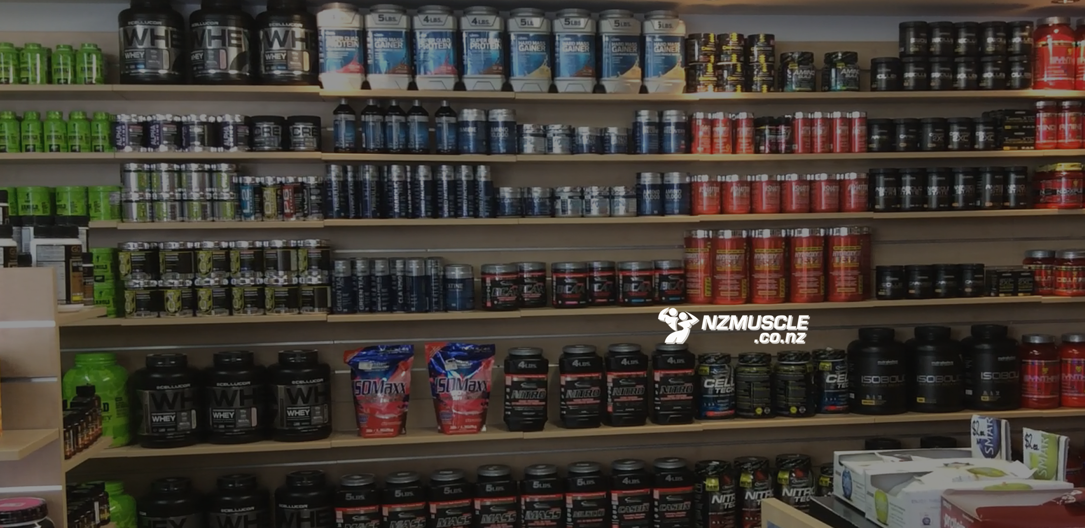 NZ muscle header 12