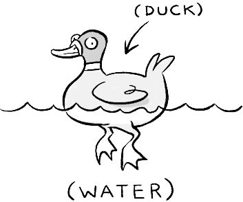 duck